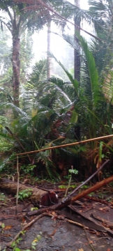 upcoming-events-img-1