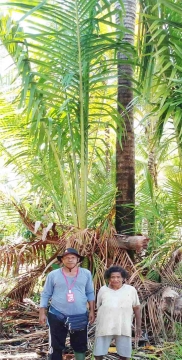 upcoming-events-img-1